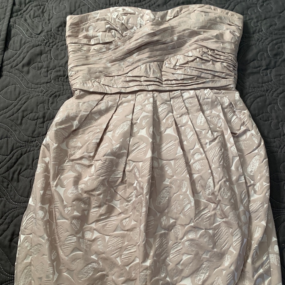 Maxandcleo size 8 strapless dress